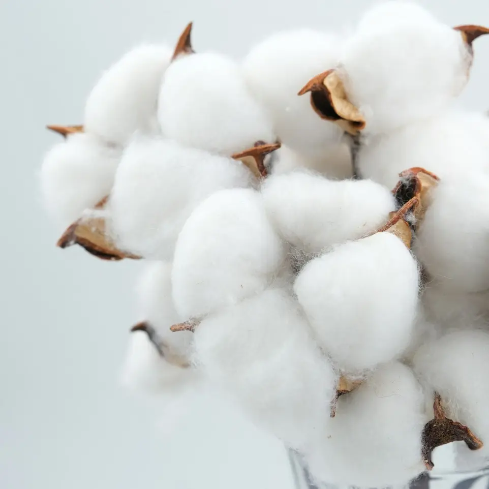 a bunch of cotton in a glass vase